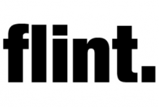 FLINT-logo