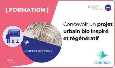 Accr formation site - formation biorégénératif